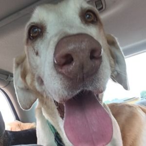 Meet your Posher, Brendan